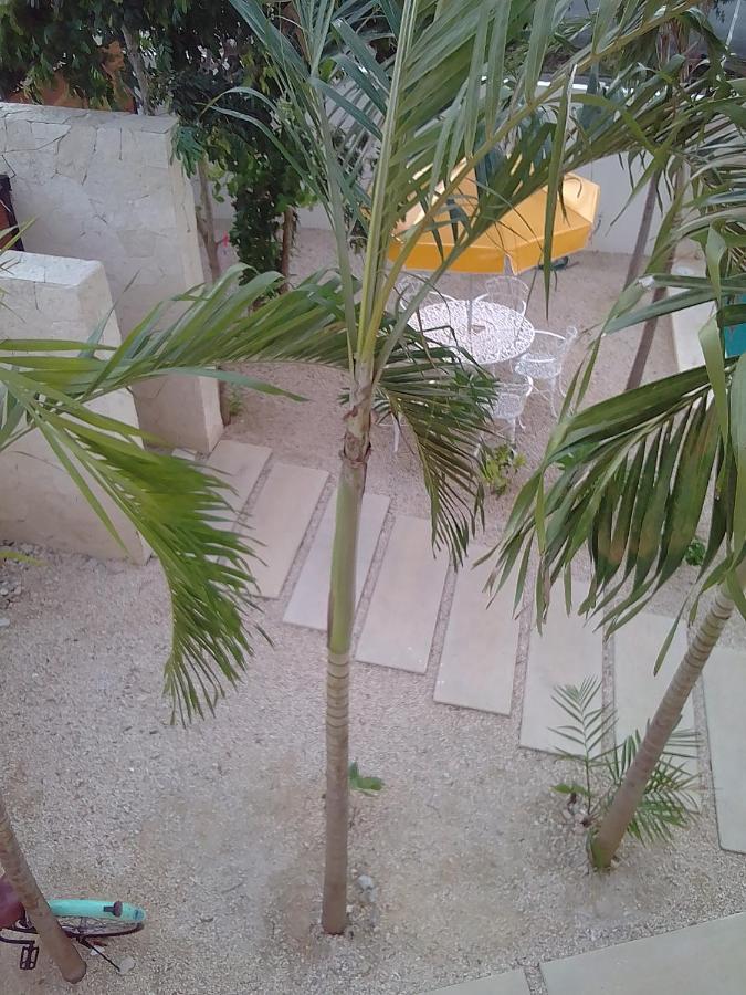 Posada Tumben Ka'A تولوم المظهر الخارجي الصورة
